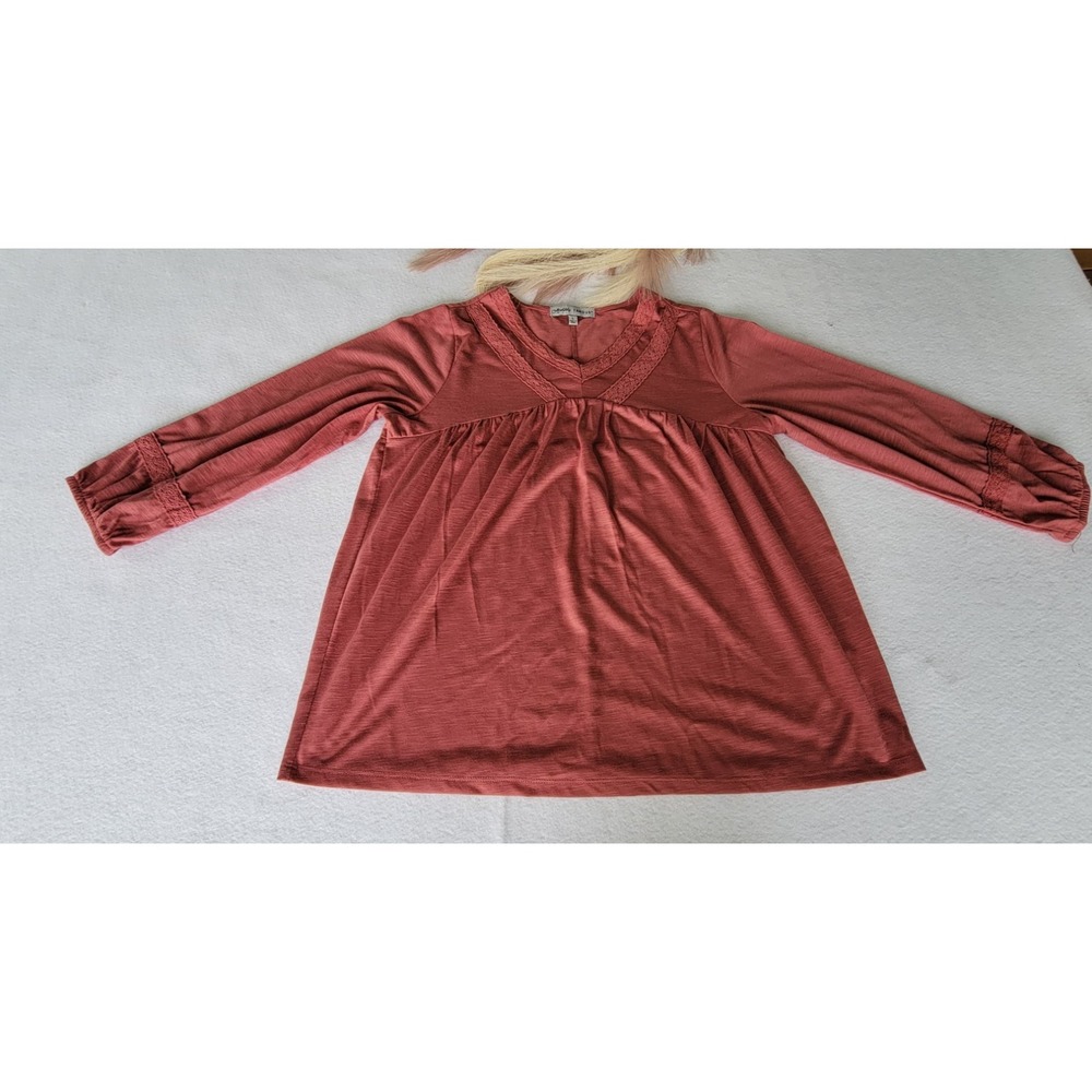 Absolutely Famous Women's Brick‎ Red Peasant Top Size L NWT